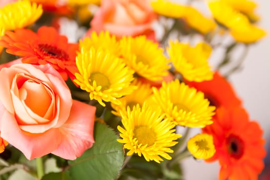 Bouquet of beautiful bright flowers. Floral composition. photo