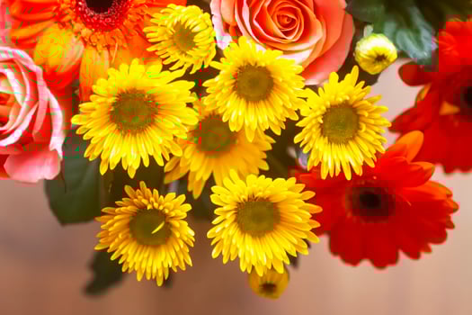 Bouquet of beautiful bright flowers. Floral composition. photo