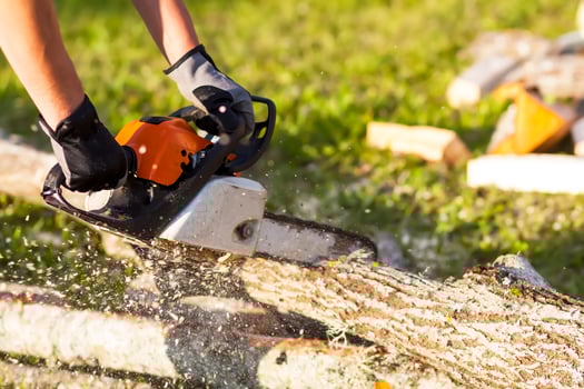 Hands of a man holding a chainsaw and saw logs. photo