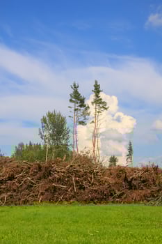 Countryside landscape with green fields and blue sky in Latvia. photo