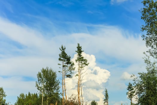 Countryside landscape with green fields and blue sky in Latvia. photo