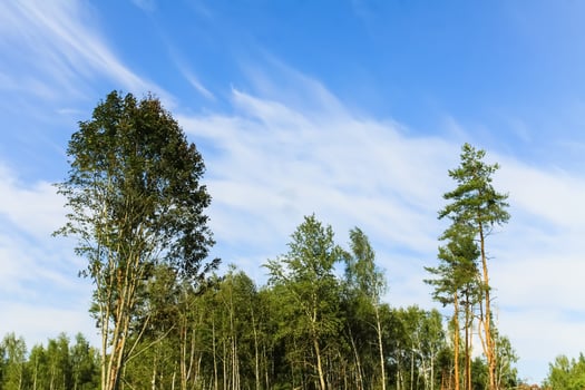 Countryside landscape with green fields and blue sky in Latvia. photo