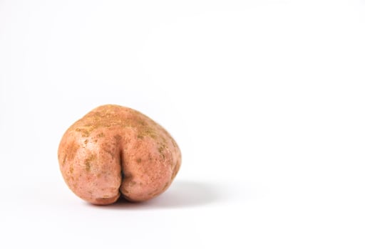 Raw funny potato in a shape of ass. photo