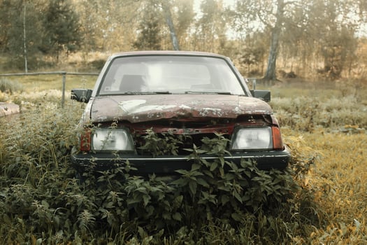 Old car in nettles photo