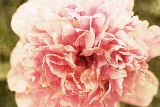 Vintage flower paper background photo