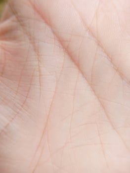 Photo of the lines on the palm of a hand