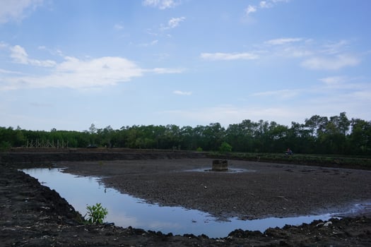 A pond with a small fountain in the middle photo