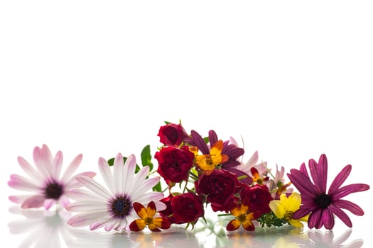 small bouquet of small multi-colored summer flowers photo