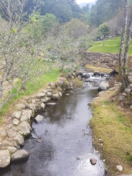 A stream running through a lush green field photo