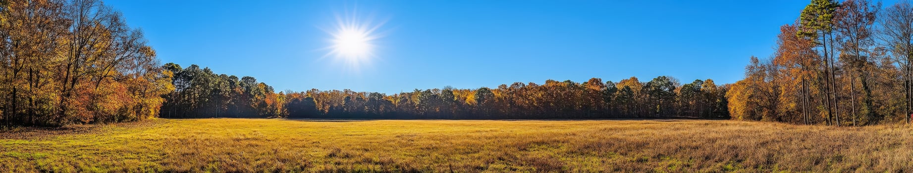 Vibrant autumn grassland under a clear blue sky at midday photo