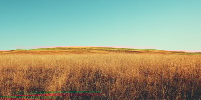 Autumn grassland landscape with golden hues under a clear blue sky photo