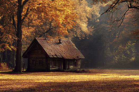 A rustic cabin stands alone in the heart of an autumn landscape photo