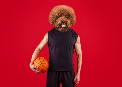 A humorous visual displays an anthropomorphized dog with a fluffy head and a muscular human body. The creature stands confidently, grasping a basketball in one hand photo