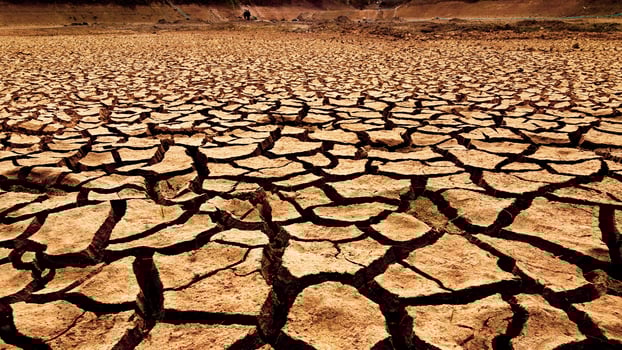 Cracked Dry Earth in Arid Desert Landscape Highlighting Severe Drought and Climate Change Effects photo