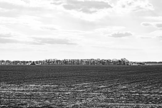 Photography on theme big empty farm field for organic harvest photo