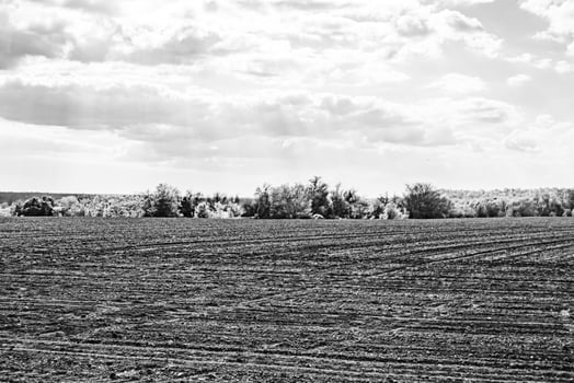 Photography on theme big empty farm field for organic harvest photo