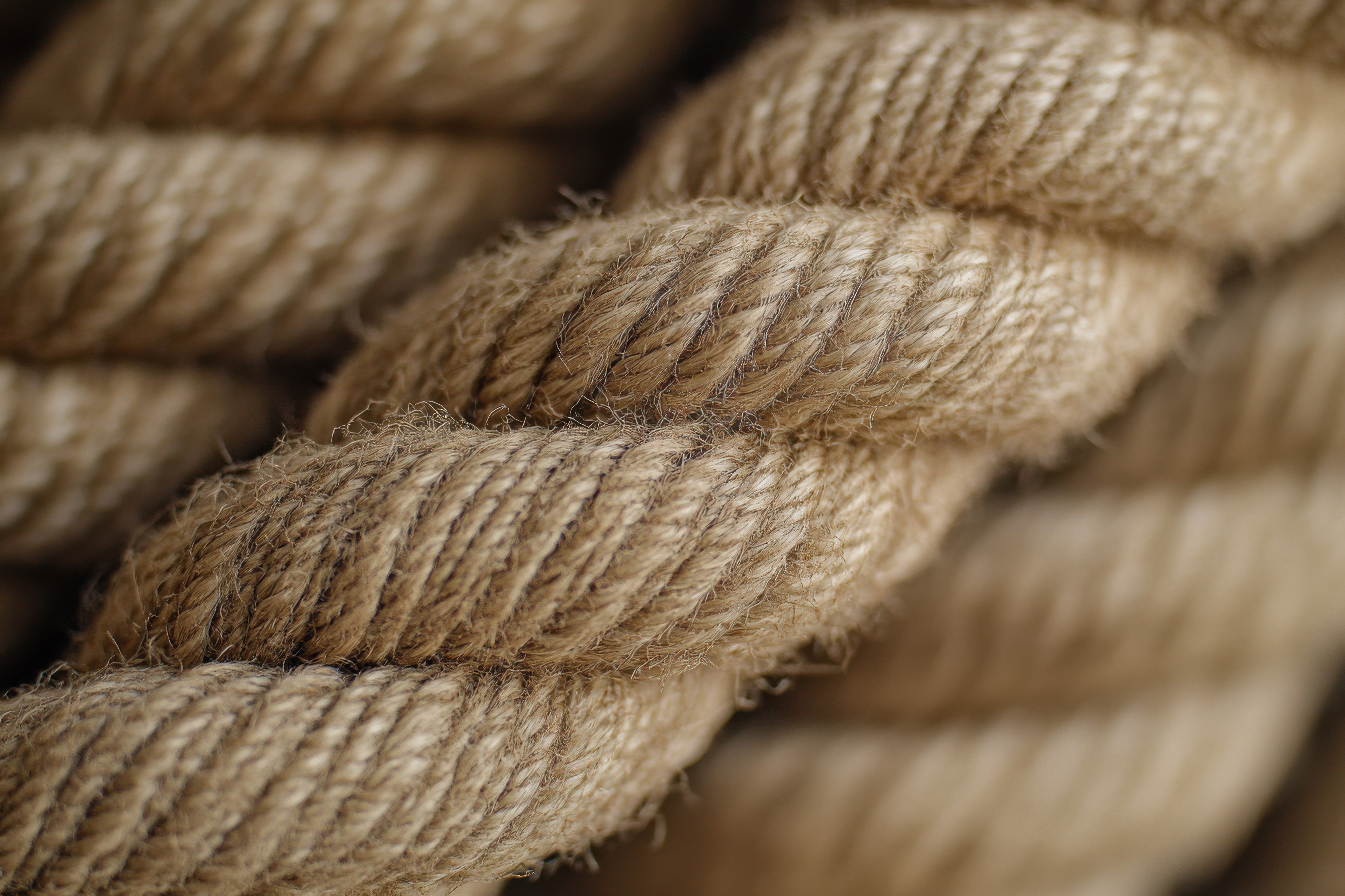 Natural fiber rope tightly twisted for durability, ideal for various outdoor uses and crafts photo