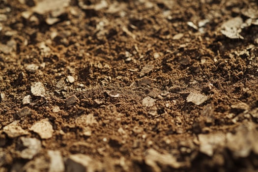 Natural soil texture featuring earthy tones and organic materials in a sunny outdoor setting photo