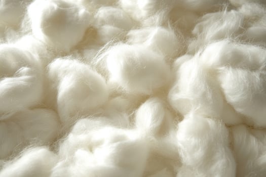 Soft white cotton fibers displayed in natural light highlighting their texture and color photo