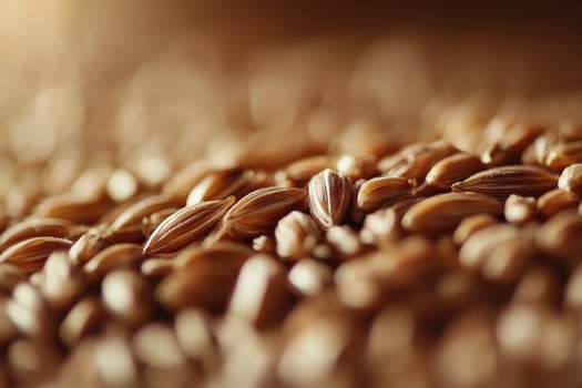 Close-up view of scattered seeds in warm lighting highlighting their texture and details photo