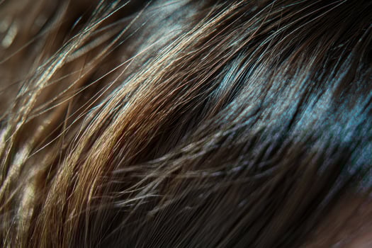 Close-up view of shiny hair texture illuminated by natural light in a domestic setting photo