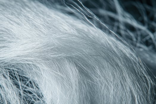 Light gray fibers intertwined on a dark background showcasing intricate textures and patterns photo