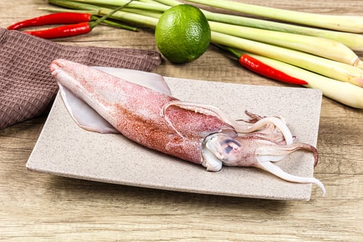 Raw fresh squid for cooking photo