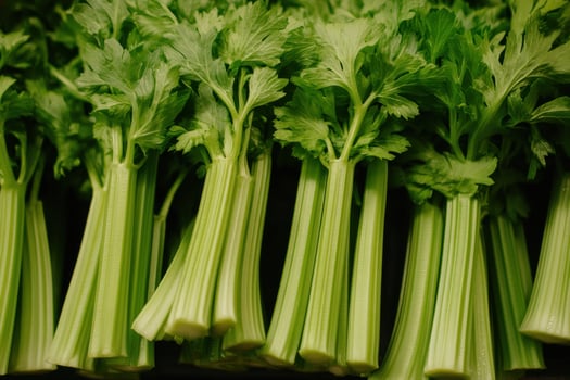Fresh celery stalks neatly arranged in a grocery store display during daylight hours photo