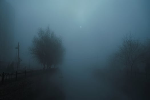foggy landscape with a river and trees on an alley in the city on an autumn evening in fog mist photo