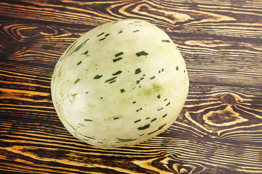 Ripe sweet juicy Dalmatin melon photo