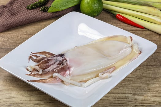 Raw fresh cuttlefish for cooking photo
