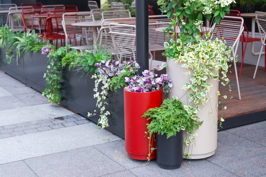 Outdoor landscaping - pots and planters on the city street with outdoor flowers violets, marigolds, ivy. Decoration of cafes, windows of the house with flowerbeds with flowering plants photo