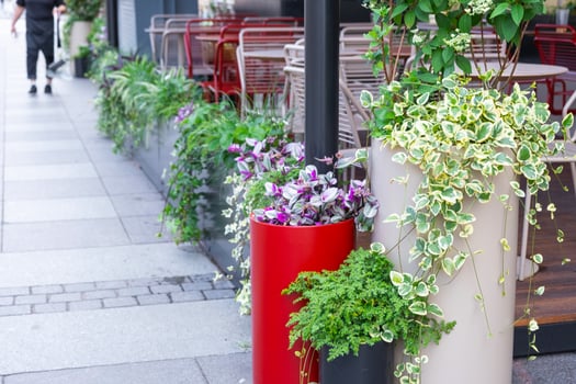 Outdoor landscaping - pots and planters on the city street with outdoor flowers violets, marigolds, ivy. Decoration of cafes, windows of the house with flowerbeds with flowering plants photo