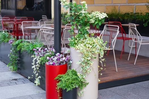 Outdoor landscaping - pots and planters on the city street with outdoor flowers violets, marigolds, ivy. Decoration of cafes, windows of the house with flowerbeds with flowering plants photo