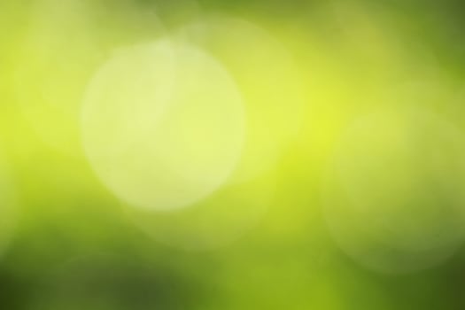 Abstract Green Bokeh. Minimalist Green Abstract photo