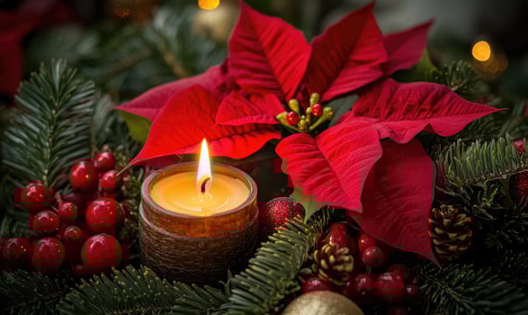 A candle is lit on a Christmas tree with red poinsettia flowers photo