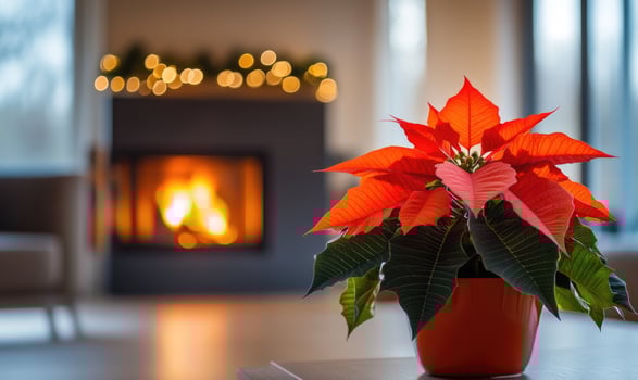 A red poinsettia plant sits in a red pot on a table in front of a fireplace photo