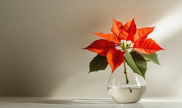 A vase with a red flower in it sits on a table photo