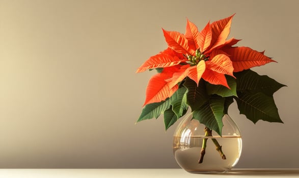 A vase with a red flower in it sits on a table photo