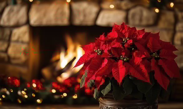 A red poinsettia plant sits in a pot next to a fireplace photo
