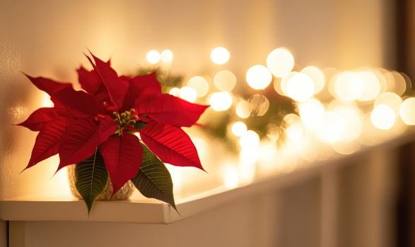 A red poinsettia flower sits on a white shelf next to a fireplace photo