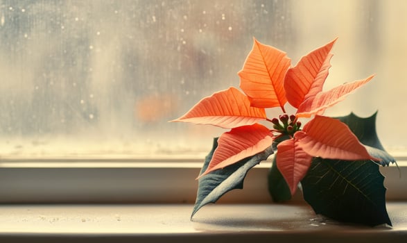 A small orange flower sits on a window sill photo