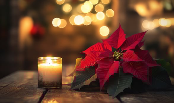 A candle is lit on a table next to a red poinsettia flower photo
