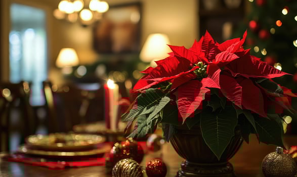 A red poinsettia plant sits on a table with a Christmas tree photo