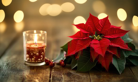 A candle is lit on a table next to a red poinsettia flower photo