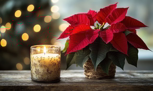A candle and a red poinsettia plant are on a table photo