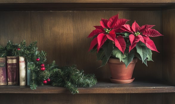 A potted plant sits on a shelf next to a wreath and a book photo