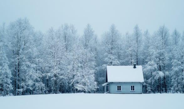 A small cabin is surrounded by trees covered in snow photo