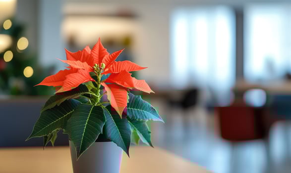 A small red flower in a vase sits on a table in a room photo