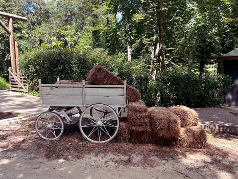 Small bales of dry hay .Harvesting hay for farm animals.background for fotoshoot photo
